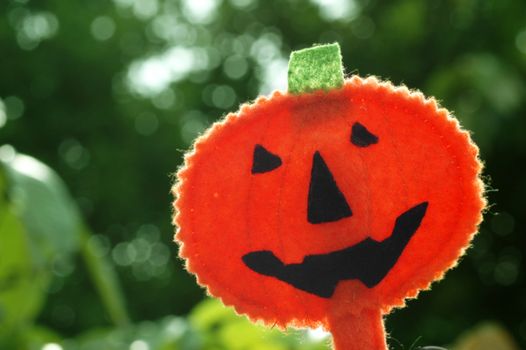 Halloween pumpkin Jack O-lantern backlit outdoor