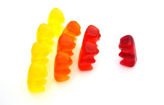 Gummi bears