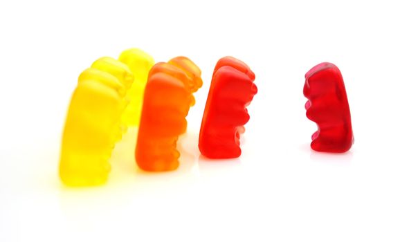 Gummi bears