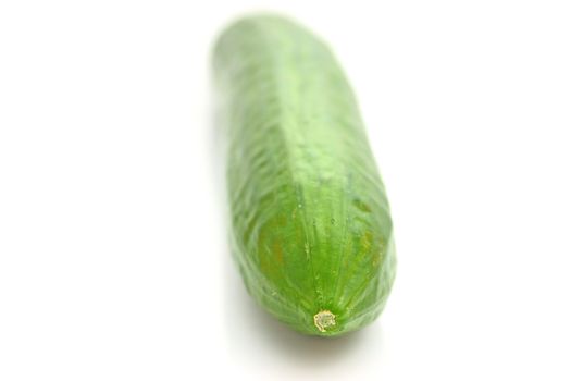 Cucumber