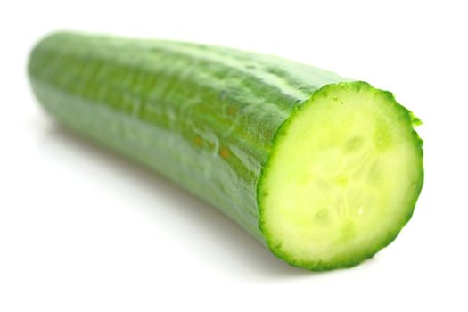 Cucumber