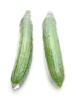 Cucumber