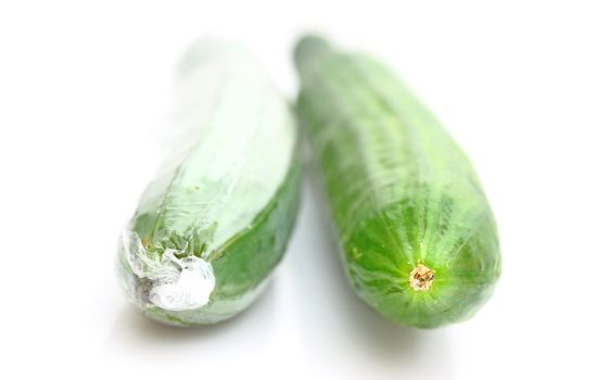 Cucumber