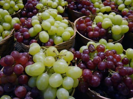 fresh fromthe market green and red grapes