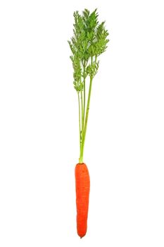 Carrots