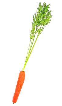 Carrots