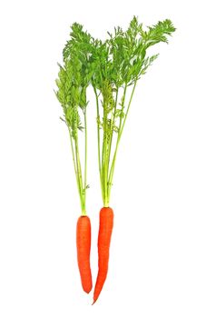 Carrots