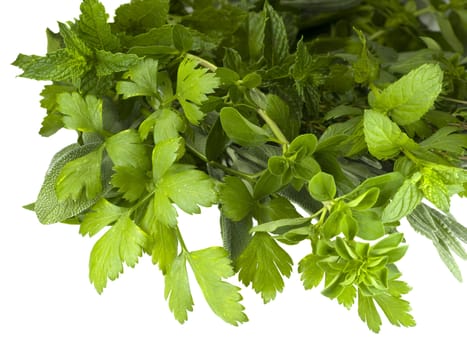 display of fresh organic herbs culinary food ingredients  isolated on white background