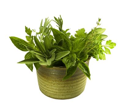 bunches of fresh organic herbs in kitchen pot