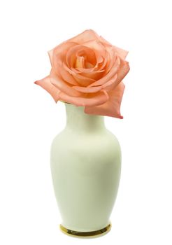 single rose flower in a vase isolated on white background