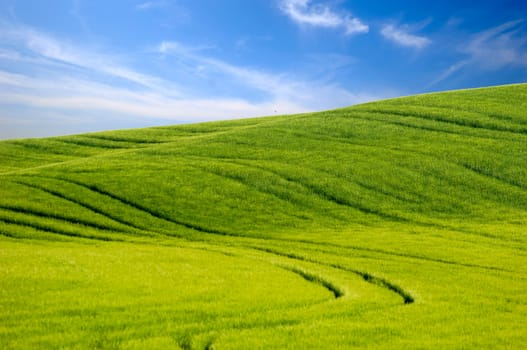 Green hill and blue and cloudy sky.