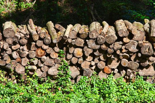 Stacked timber logs - fuel for fire -
