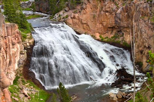 Gibbon Falls lows through the canyons of Yellowstone National Park in the United States.