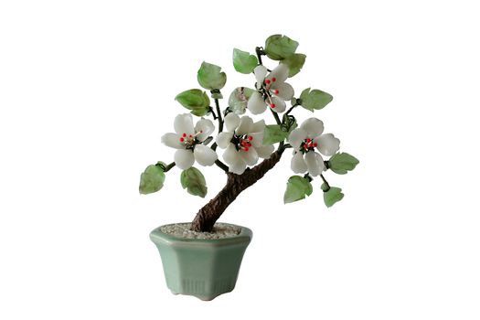 model of bonzai tree made of glass and wood - isolated on perfectly white background