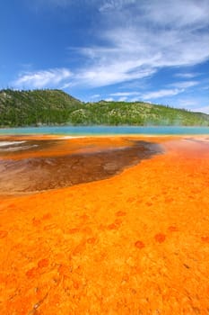 Vivid colors of Grand Prismatic Spring in Yellowstone National Park - USA.