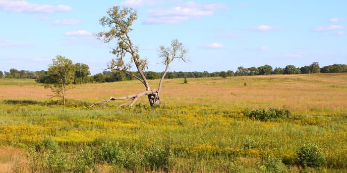 A vast prairie at Nachusa Grasslands of northern Illinois.