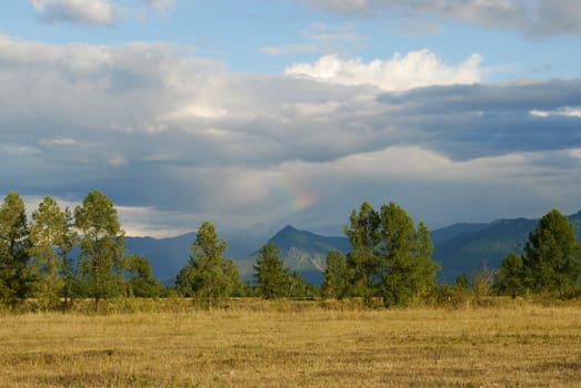 Uymonskaya steppe, Gorny Altai, Russia