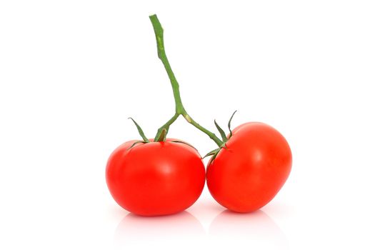 Tomatos