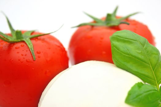 Tomato mozzarella