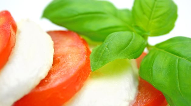 Tomato mozzarella