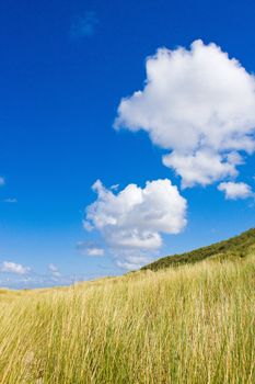 Dunes