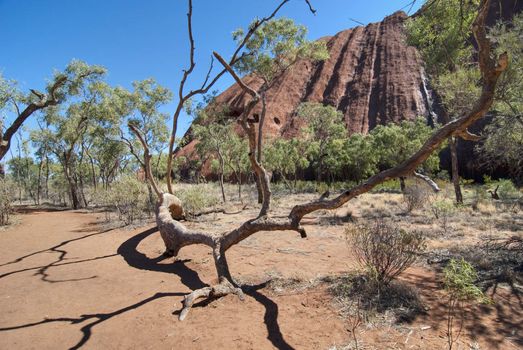 View of Uluru, Northern Territory, Australia, August 2009