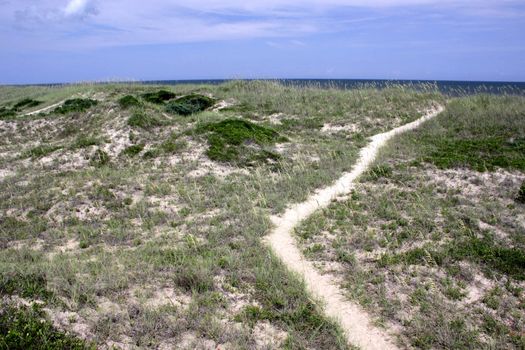 A path to the beach through the sand dunes, in the Outer Banks, North Carolina.
