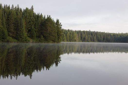 The reflection of evergreen trees in Pog Lake, in Algonquin Park, Ontario, Canada.
