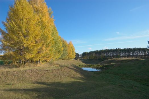 photo of the beautiful landscape with autumn lake