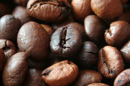 closeup of delicious coffe grains 