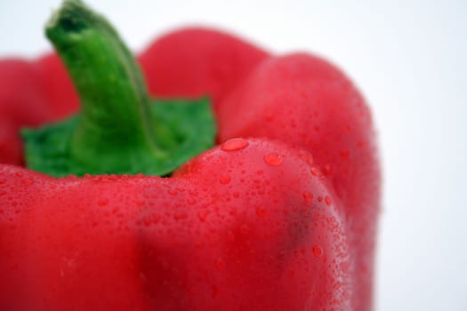 water drops on paprika