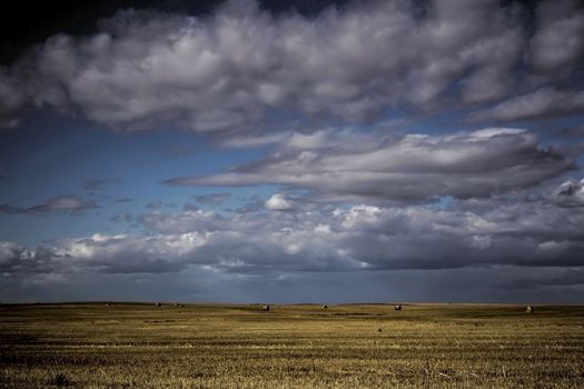 scenic photo of prarie fields under blue skies