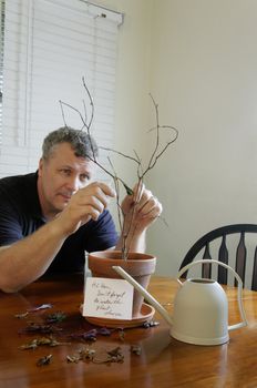 A man trying to glue a leaf to a plant that we forgot to water.