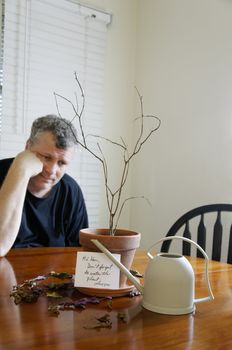 A man looking sad after realizing that he forgot to water his wife's plant.