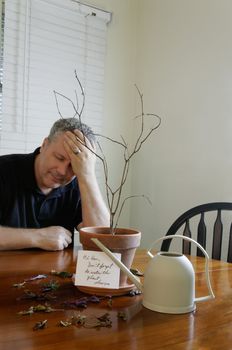A man with his head in his hand looking sad after realizing that he forgot to water his wife's plant.