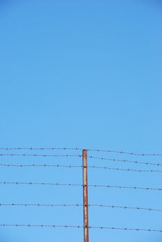 photo of barbed wire with plenty blue sky space