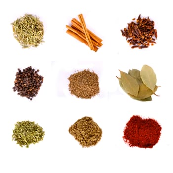 Various dried spices are arranged on a white background