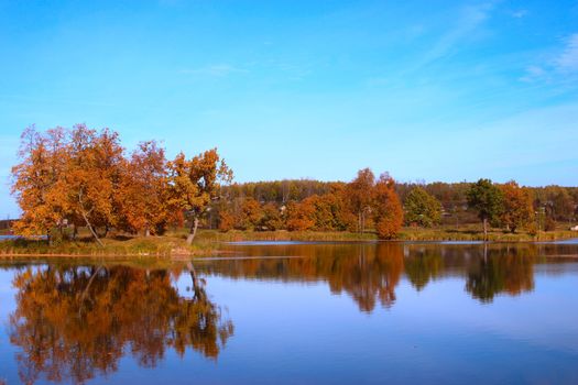 Autumn trees on the river reflected in water