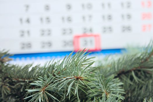 Blue spruce branches removed close up against a calendar with date on December, 31st