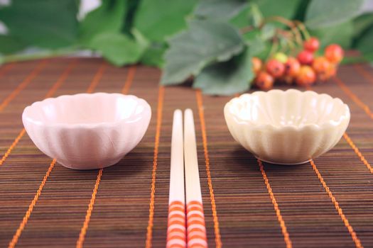 Set for a sushi on a bamboo napkin removed close up against green foliage