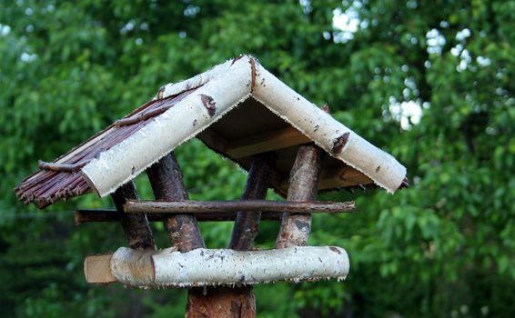 bird table in the garden