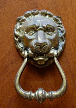 A brass lion's-head door knocker, on a rich, orangey-brown wooden door. Clipping path included so knocker can be isolated.