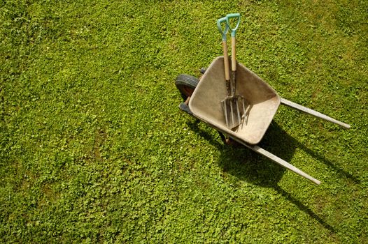 Vertical view of a wheelbarrow, with garden tools, on a green lawn. One or two daisies dot the lawn. Space for text on the green of the grass.