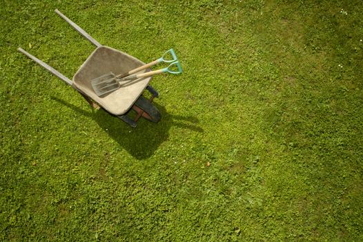 Vertical view of a wheelbarrow, with garden tools, on a green lawn. One or two daisies dot the lawn. Space for text on the green of the grass.