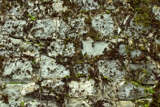 Brick wall from old stone with grass