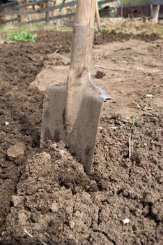 farming shovel.Old vintage iron shovels