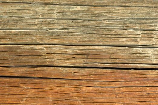 Wood texture background,old log