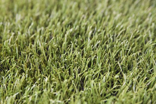 artificial grass - photo with shallow depth of field