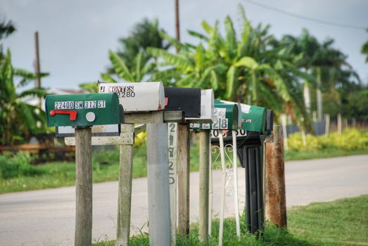 A group of Postboxes in the Everglades