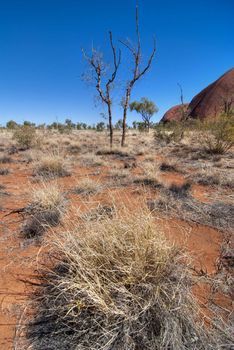 View of Uluru, Northern Territory, Australia, August 2009